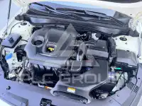 2019 KIA K5