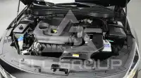2019 KIA K5