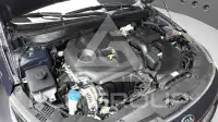 2019 KIA K5