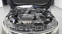 2019 KIA K5