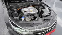2019 KIA K5