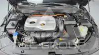 2019 KIA K5