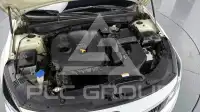 2019 KIA K5