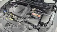 2019 Hyundai Avante