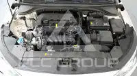 2019 Hyundai Avante