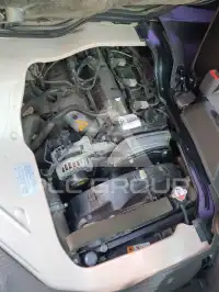 2019 Hyundai 