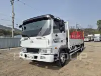 2019 Hyundai Mega truck