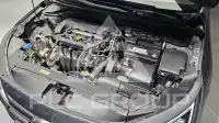 2019 Hyundai Avante