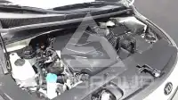 2019 KIA Carnival