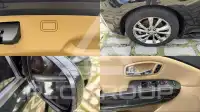 2019 KIA Carnival