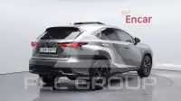 2019 Lexus NX