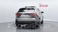 2019 Lexus NX