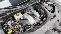 2019 Lexus RX