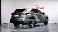 2020 Lexus NX
