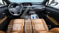 2020 Lexus UX