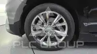 2020 KIA Carnival