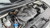 2020 KIA Carnival