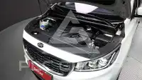 2020 KIA Carnival