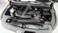 2020 KIA Carnival