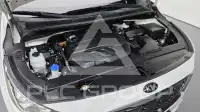2020 KIA Carnival