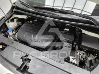 2020 KIA Carnival