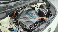 2020 KIA Niro