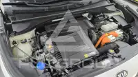 2020 KIA Niro