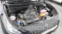 2020 KIA Niro