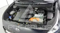 2020 KIA Niro