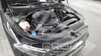 2020 KIA K5