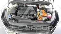 2020 KIA K5