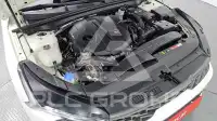 2020 KIA K5