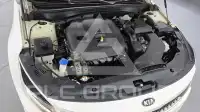 2020 KIA K5