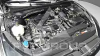2020 KIA K5