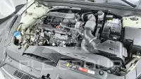 2020 KIA K5