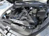 2020 KIA K5
