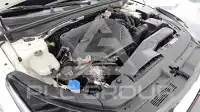 2020 KIA K5