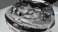 2020 KIA K5