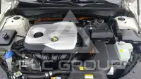 2020 KIA K5