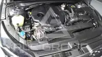 2020 KIA K5