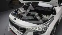 2020 KIA Celltos