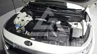 2020 KIA Celltos