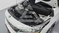 2020 KIA Celltos