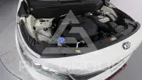 2020 KIA Celltos