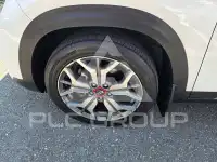 2020 KIA Celltos