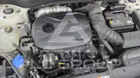 2020 KIA Celltos