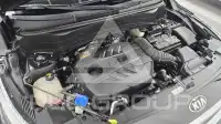 2020 KIA Celltos