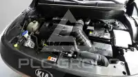 2020 KIA Celltos