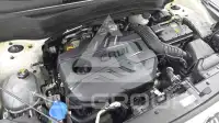 2020 KIA Celltos
