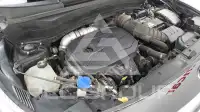 2020 KIA Celltos